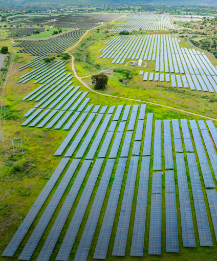 50% Lower Carbon Footprint