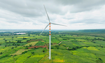 The Role of Wind Energy in India’s Renewable Energy Growth