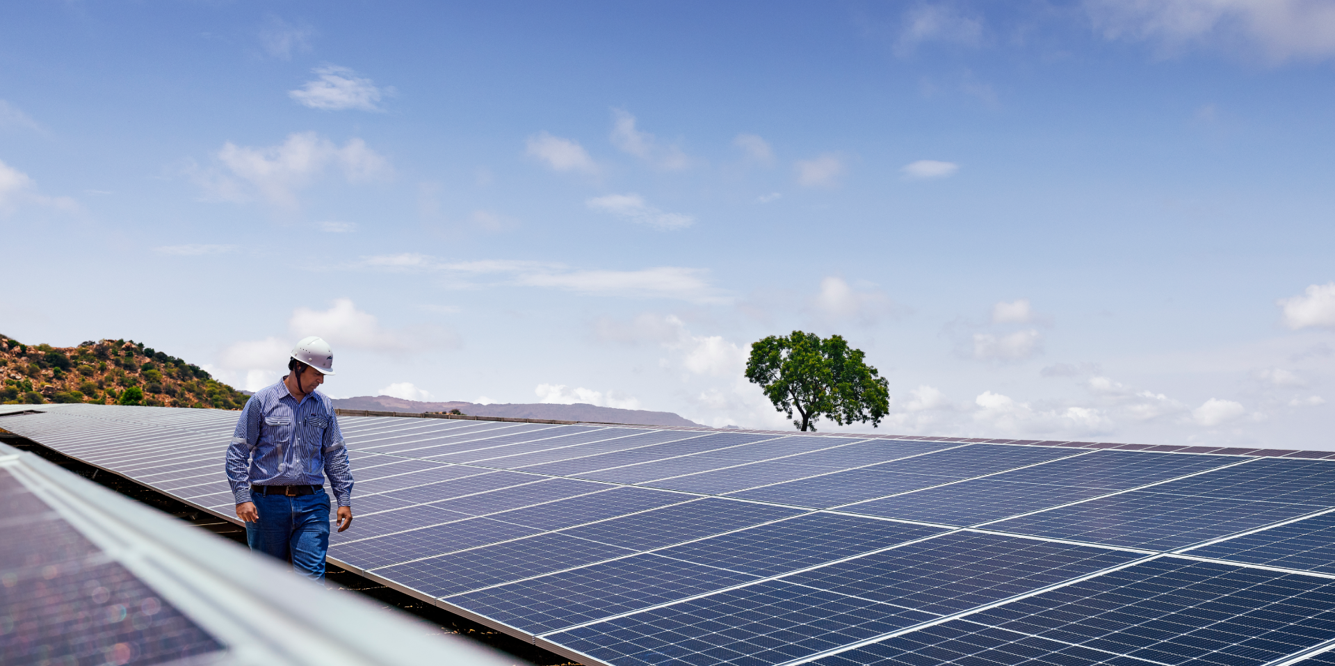 Renewable Energy